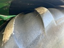 https://photos.machinefinder.com/17/9613417/68201622_large_41823.jpg