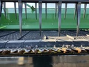 https://photos.machinefinder.com/14/10580814/76828670_large_54484.jpg