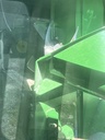 https://photos.machinefinder.com/85/10663185/69193025_large_27887.jpg