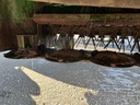 https://photos.machinefinder.com/00/10710700/70814915_large_81407.jpg