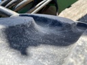 https://photos.machinefinder.com/88/9752688/66653089_large_6294.jpg