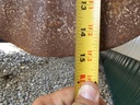 https://photos.machinefinder.com/28/10814928/70821754_large_57356.jpg