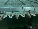 https://photos.machinefinder.com/51/10898951/71685295_large_81037.jpg