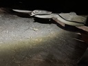 https://photos.machinefinder.com/36/10923636/71942983_large_67620.jpg