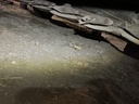 https://photos.machinefinder.com/36/10923636/71942985_large_77172.jpg