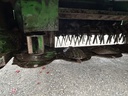 https://photos.machinefinder.com/23/10975623/76487532_large_41837.jpg