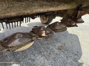 https://photos.machinefinder.com/20/11105820/76245553_large_34872.jpg