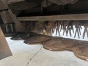 https://photos.machinefinder.com/04/11229704/76770958_large_3284.jpg
