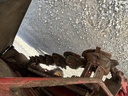 https://photos.machinefinder.com/17/11270217/76627686_large_99751.jpg