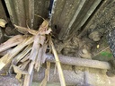 https://photos.machinefinder.com/38/11288638/75748458_large_67999.jpg