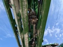 https://photos.machinefinder.com/01/11309701/75935478_large_34755.jpg
