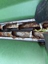 https://photos.machinefinder.com/96/11318896/79396876_large_66914.jpg