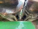 https://photos.machinefinder.com/50/11348750/76318778_large_32250.jpg