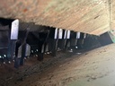 https://photos.machinefinder.com/22/11369822/78912311_large_98914.jpg