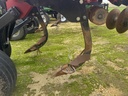 https://photos.machinefinder.com/97/11385097/79368363_large_77395.jpg