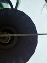 https://photos.machinefinder.com/57/11424057/77008267_large_6865.jpg