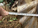 https://photos.machinefinder.com/57/11424057/77008287_large_54236.jpg