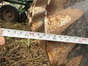 https://photos.machinefinder.com/57/11424057/77008304_large_58524.jpg