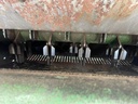 https://photos.machinefinder.com/03/10004303/68124344_large_78595.jpg