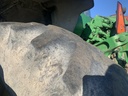 https://photos.machinefinder.com/63/11453563/77314134_large_92501.jpg