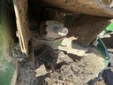 https://photos.machinefinder.com/19/11476319/77506646_large_64684.jpg