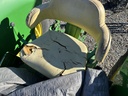 https://photos.machinefinder.com/85/11497385/77704561_large_3013.jpg