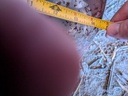 https://photos.machinefinder.com/78/11510678/77831929_large_26045.jpg