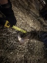https://photos.machinefinder.com/51/11528451/77986436_large_8646.jpg