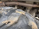 https://photos.machinefinder.com/53/11570853/78355535_large_5433.jpg