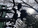 https://photos.machinefinder.com/87/11596787/78546359_large_9423.jpg