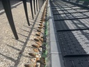 https://photos.machinefinder.com/49/11165049/79706335_large_54199.jpg