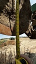 https://photos.machinefinder.com/75/10459975/68572855_large_49462.jpg